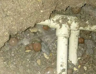 望花卫生间测漏